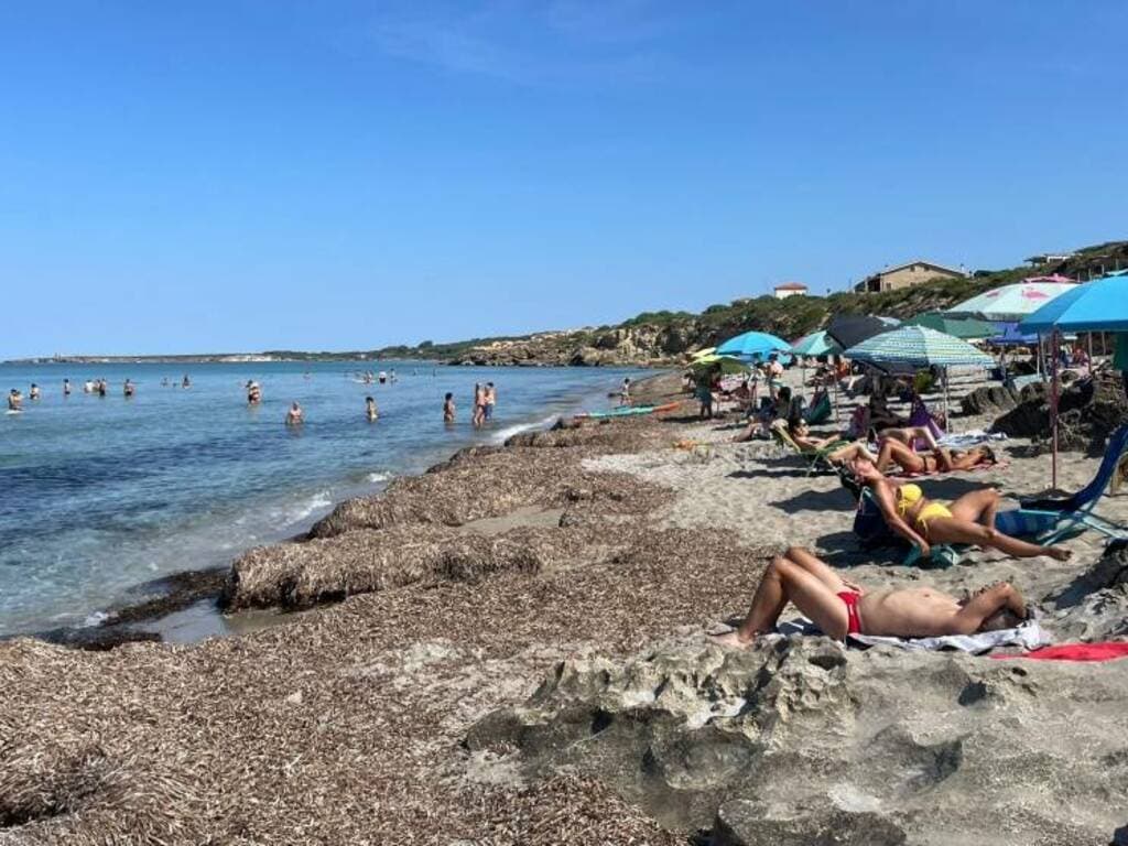 La provincia di Oristano nella morsa del caldo: sfiorati i 40 gradi. C’è l’allerta meteo