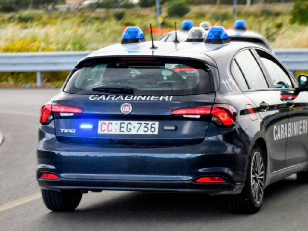 In casa marijuana, pianta di cannabis e materiale per confezionare le dosi: arrestato