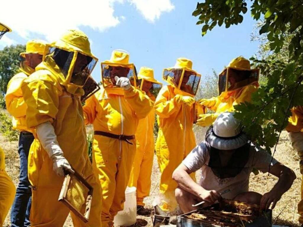 L’agricoltura sociale coltiva il futuro in Marmilla: al via la terza edizione di Gicoias