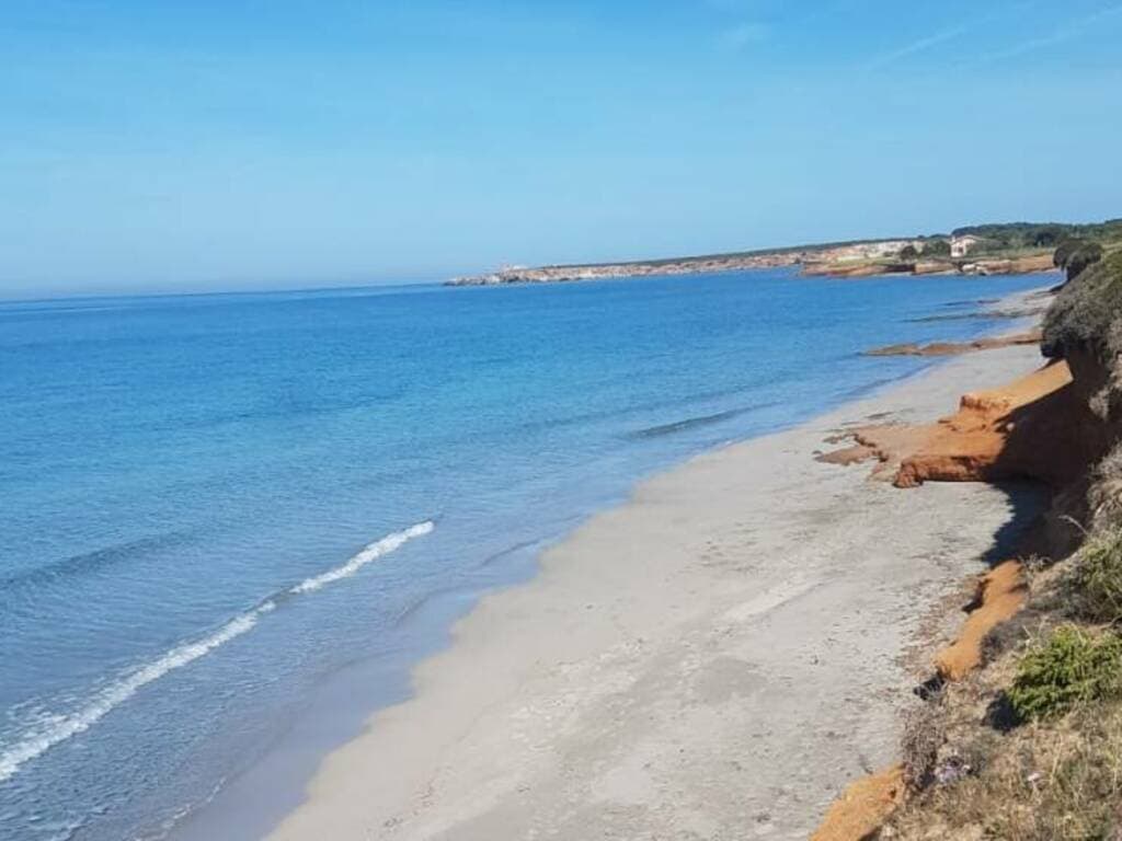 Trovato un delfino spiaggiato e senza vita lungo il litorale