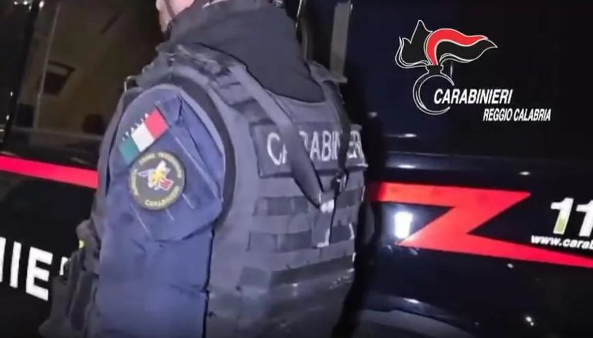 Grande operazione contro la 'ndrangheta in Calabria: 79 arresti tra le cosche
