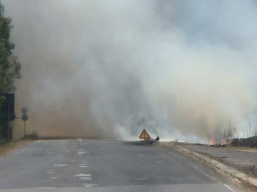 Emergenza incendi in provincia di Oristano: in una giornata andati in fumo oltre 12 ettari