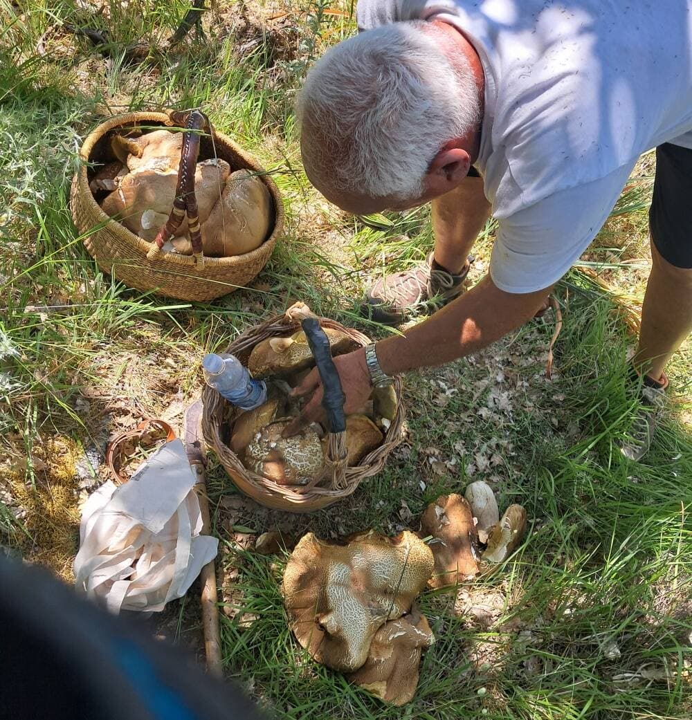In pieno giugno, bimbo, papà e nonno trovano un porcino nero da oltre due chili