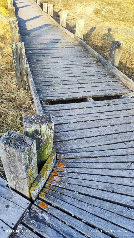 “Passerelle rovinate, segnaletica assente e auto parcheggiate vicino alle dune”. La segnalazione da Abarossa
